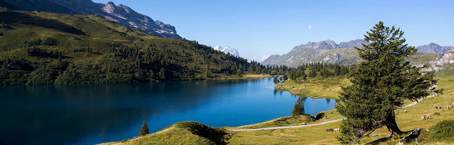 Generalversammlung 2020